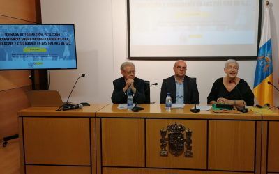 La fundación educativa CIVES pide a los docentes de Historia que desechen “la equidistancia” sobre memoria democrática