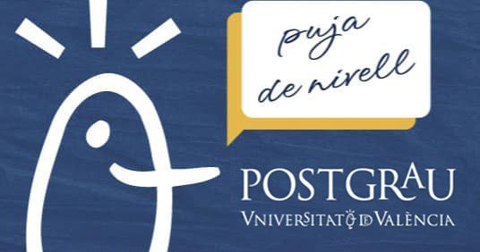 curso-experto-universitario-valencia-puja-de-nivell