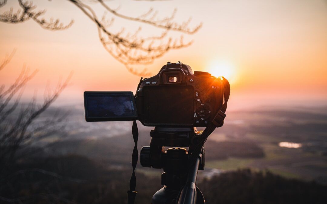 Elegidas las cinco fotografías finalistas del concurso para jóvenes del programa SAY